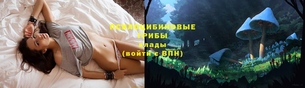 гашиш Алзамай